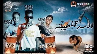 الاسد ليه هيبته غناء عصام صاصا كلمات عبده روقه توزيع كيمو الديب 