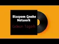 Download Lagu Gideon Tagarh - Bisapom Gnake Network (Audio Slide)