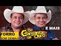 Lagu OS GARGANTAS DE OURO 20 ANOS CD COMPLETO AO VIVO E OUTRAS TOP DO FORRÓ