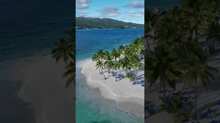 Blending in with locals 🦩🦩🦩