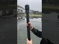 Download Lagu Rechargeable Laser Zoom Flashlight-Black Technology #foryou #gadget #ledlights #torch #outdoor#tech