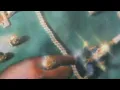 Denzel Curry Kenneth Blume - CROWN Feat Westside Gunn