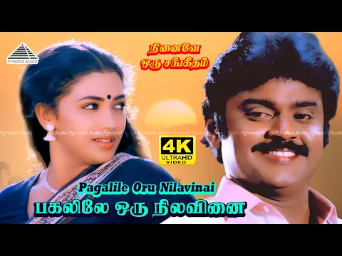 Pagalile Oru Nilavinai - YouTube