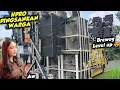 Download Lagu BREWOG MASIH SANTAI‼️HPRO PINGSANKAN PENJAGA TOKO DI KARNAVAL LEBAKREJO PASURUAN