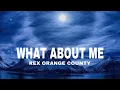 Rex Orange County - What about Me           #rexorangecountry #whataboutme