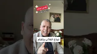 تفسير نباح الكلاب في المنام 