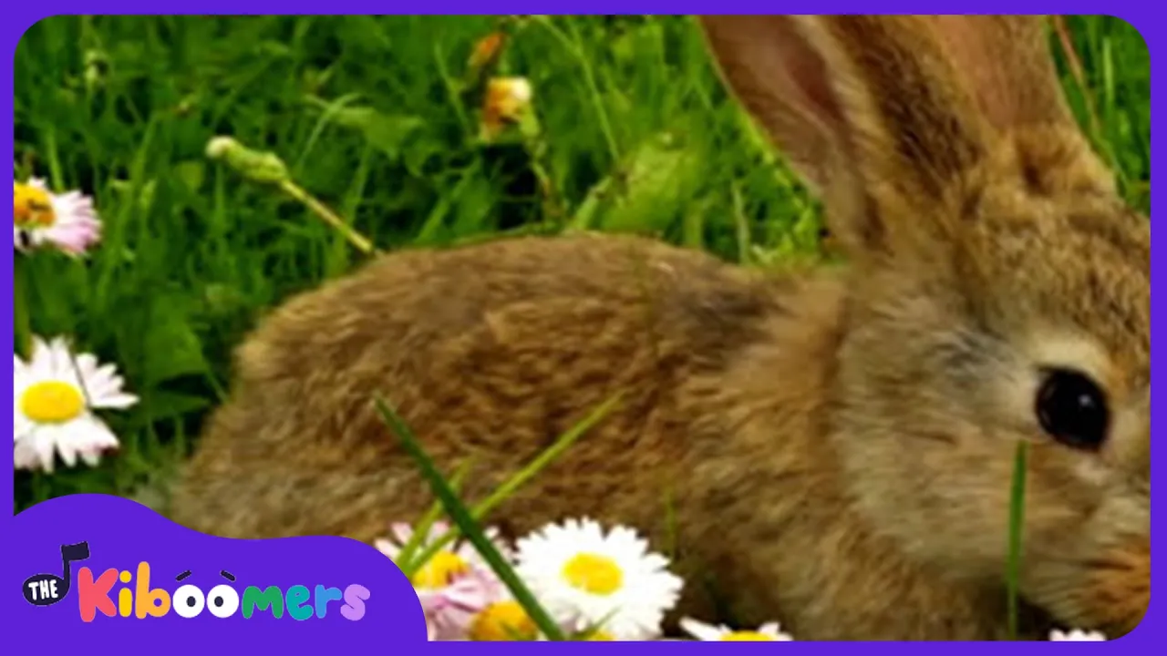 Little Bunny Foo Foo - The Kiboomers Preschool Songs & Nursery Rhymes Little Bunny Foo Foo - The Kiboomers Preschool Songs & Nursery Rhymes
