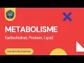 Download Lagu Metabolisme Karbohidrat, Protein, Lemak - Ilmu Biomedik Dasar | Education Vlog