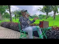 Download Lagu Buông kẻo muộn Hà Duy Thái (cover) Nhật Thành #nhatthanh #haduythai #buongkeomuon