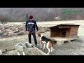 A horse ride to a woman who lives alone in the mountains. How people live in Transcarpathia. Carp...