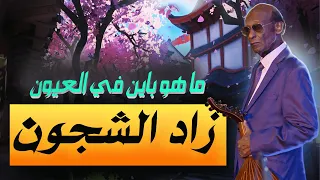 ود الأمين زاد الشجون حالات واتس 