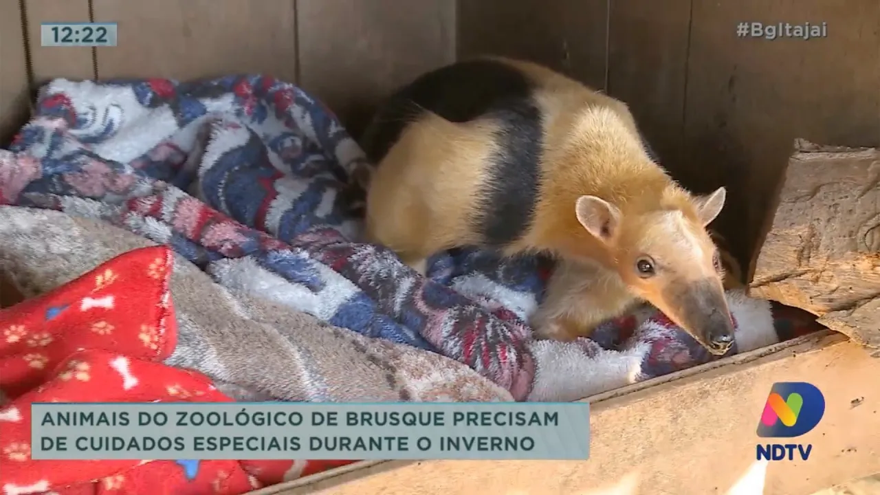 Animais do zoológico de Brusque precisam de cuidados especiais durante o inverno