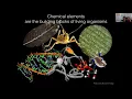 Understanding Structure Function of Ecological Systems Over Space Time