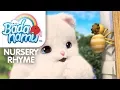 Itsy Bitsy Spider l Nursery Rhymes \u0026 Kids Songs