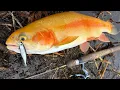 First Opening Day of Trout in YEARS Rhode Island Opening Day