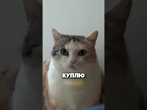 Извинилась перед ним!
