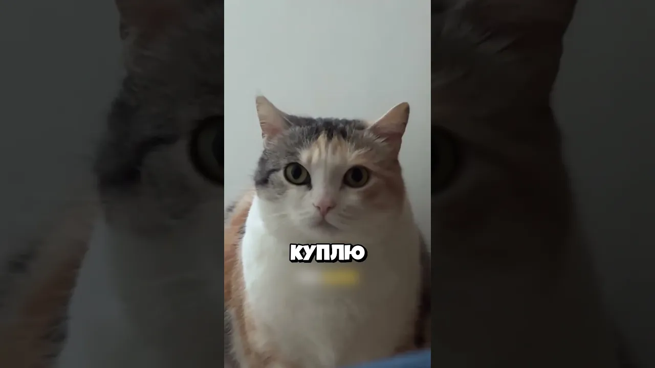 Извинилась перед ним!