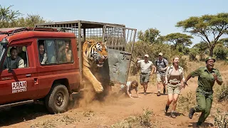 40 Times CRAZIEST African Safari Moments Caught on Camera! 🦁🐘