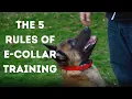 The 5 Rules of E-Collar Training - Part One
