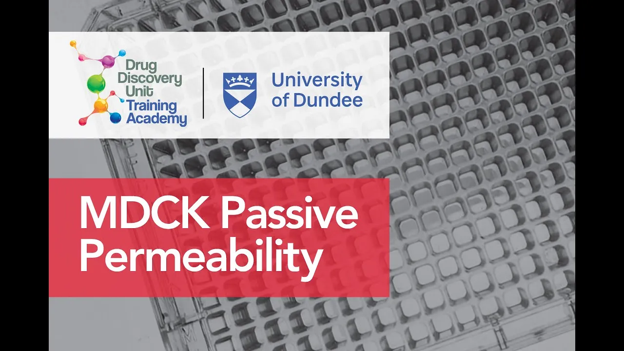 How to perform the MDCK Permeability experiment in drug discovery