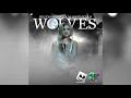 Selena Gomez, Marshmello - Wolves (Live AMAs 2017) [Audio]