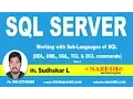 Working with Sub Languages of SQL - Part 3 MSSQL Training