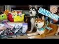 Unboxing the October 2019 Double Deluxe BarkBox Get Your First BarkBox FREE