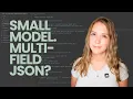 Can Small Local AI Models Handle Multi-Field JSON