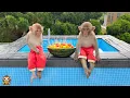 Download Lagu YiYi and YinYin's Happy Day MP3