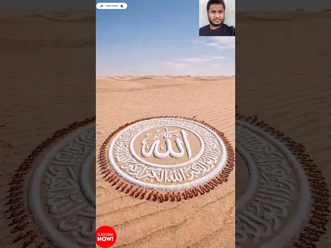 Subhanallah🤲 পিঁপড়া চিনি দিয়ে আল্লাহর নাম লিখেছে😱 #shorts  #viralvideo #viralshorts #youtubeshorts