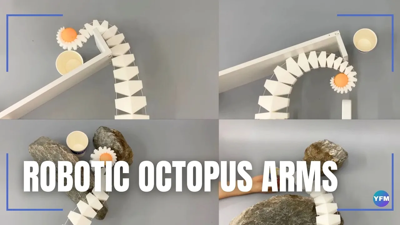 An octopus-inspired robot arm that lifts 260 times its weight