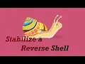 Stabilize a Reverse Shell