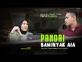 Renol Sugara - Pandai Baminyak Aia (Official Music Video)