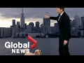 Weather reporter s hungry dog interrupts live TV report looking for treats
