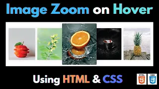 Image Zoom on Hover Effects using HTML CSS Only