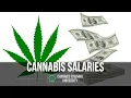 Cannabis Industry Job Salary Guide - Cannabis Jobs Budtender Jobs Dispensary Jobs