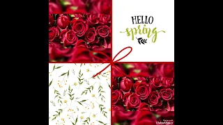 نقيلي احلى زهرة يا فراشة نقيلي 