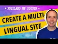 Polylang Multilingual WordPress Plugin 2017 Step-by-Step Install and Setup