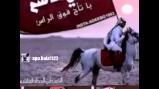 شيلة بني هاشم  شيلة بني هاشم