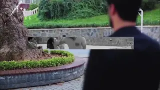 انا كل ما نويت انسي    حسين الجسمي   حالات واتس دندنها