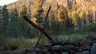 logan the way