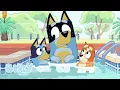 The Pool Full Episode Bluey