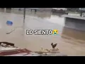 Wilson Lo siento the