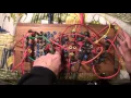 Batchas presents Plumbutter - Patch 004
