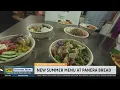 New Summer 2026 menu items at Panera Bread