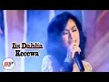Download Lagu Iis Dahlia - Kecewa (Karaoke Video)