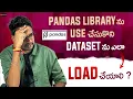 How to load dataset by using Pandas Library