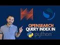 Query OpenSearch Index in Python with AWS Data Wrangler