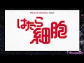 Download Lagu Opening Anime - Hataraku Saibou + Lirik