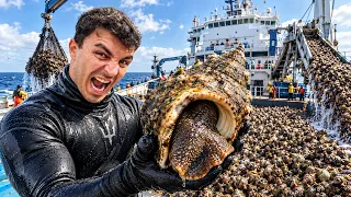 DENİZDEN DEVASA SALYANGOZ TOPLAYIP YEDİK!!